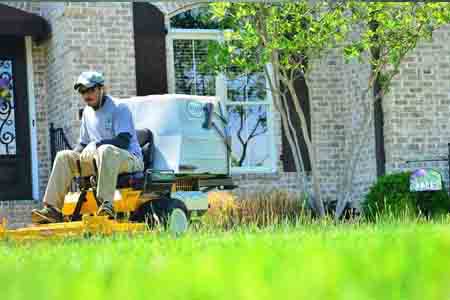 grass-mowing